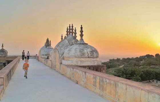 Pink City Night Tour