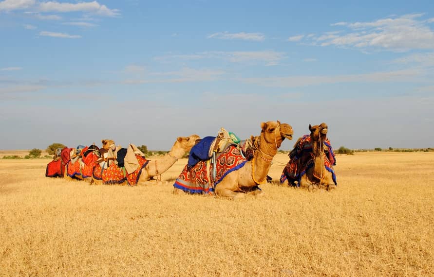 Rajasthan Desert Tour Package